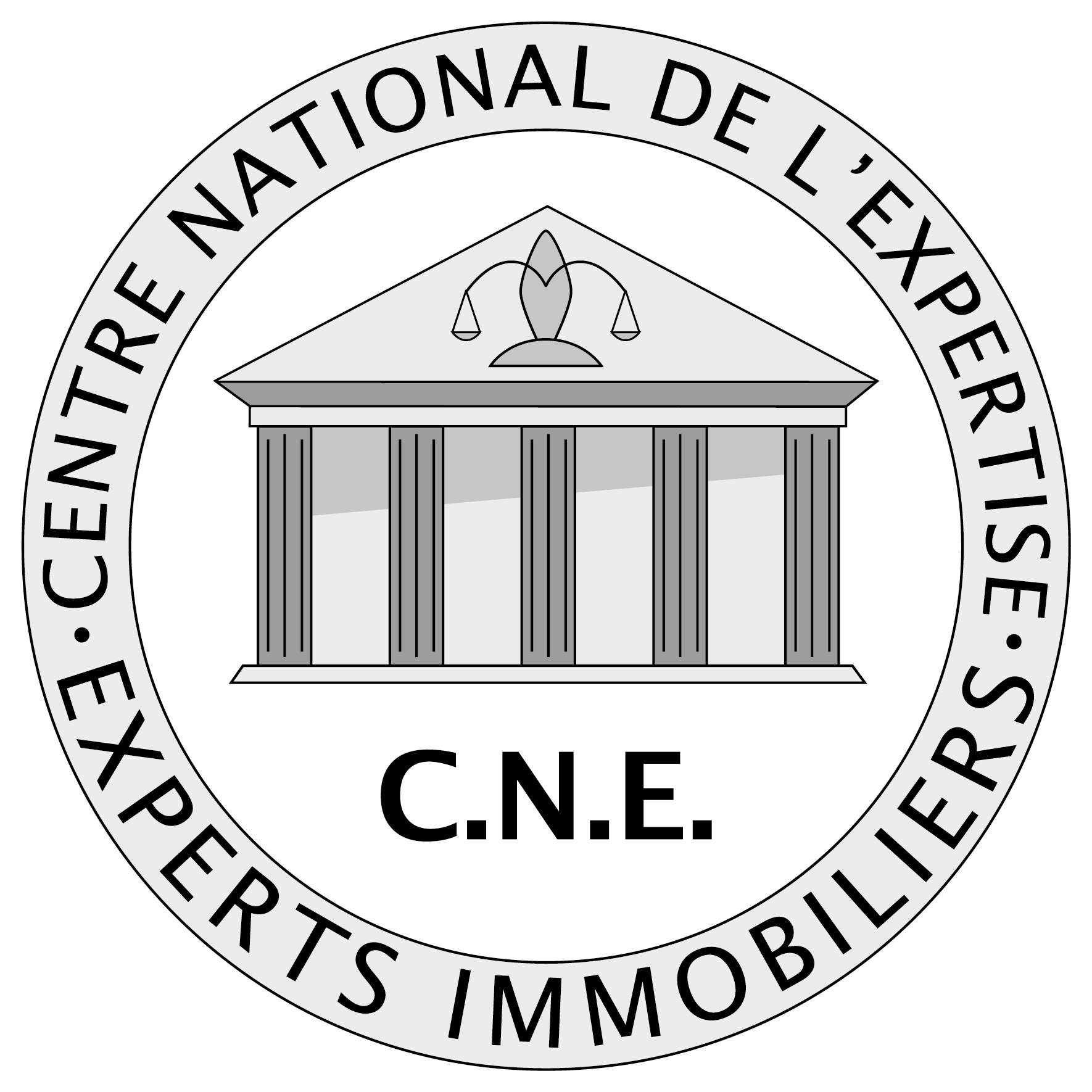 Logo CNE Expert Immobilier